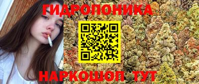 соль ск Партизанск