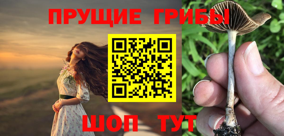 Галлюциногенные грибы MAGIC MUSHROOMS  Вход с VPN  Алексин 